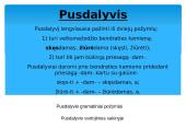 Neasmenuojamosios veiksmažodžio formos 9 puslapis
