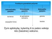 Neasmenuojamosios veiksmažodžio formos 10 puslapis