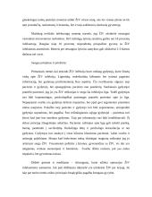 ŽIV/AIDS etinė problematika šiandieniniame Lietuvos kontekste 7 puslapis