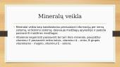 Kas yra mineralai? 5 puslapis