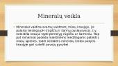 Kas yra mineralai? 6 puslapis