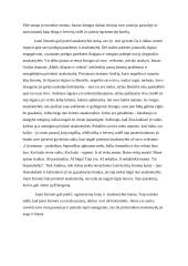 Su kokiais iššūkiais susiduria jaunas žmogus? 2 puslapis