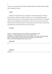 Elektroninio verslo tendencijos Europoje 6 puslapis