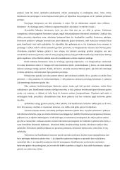 Žmogaus teisės ir policijos veikla 13 puslapis