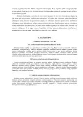 Žmogaus teisės ir policijos veikla 15 puslapis