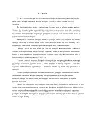 Žmogaus teisės ir policijos veikla 3 puslapis