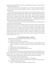 Žmogaus teisės ir policijos veikla 7 puslapis