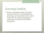 Geroji patirtis tikybos pamokoje  14 puslapis