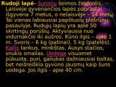 Mano mėgstamiausi gyvūnai 3 puslapis