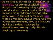 Mano mėgstamiausi gyvūnai 5 puslapis