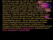 Mano mėgstamiausi gyvūnai 7 puslapis