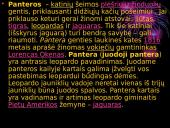 Mano mėgstamiausi gyvūnai 9 puslapis