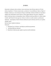 Pasaulio dykumos 2 puslapis