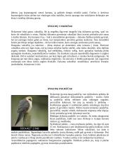 Pasaulio dykumos 11 puslapis