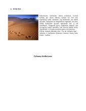 Pasaulio dykumos 3 puslapis