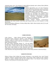 Pasaulio dykumos 6 puslapis