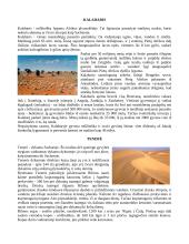 Pasaulio dykumos 8 puslapis