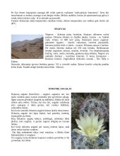 Pasaulio dykumos 9 puslapis