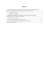Transportavimo veiklos optimizavimas organizuojant krovinių gabenimą keliais  2 puslapis