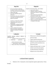 Transportavimo veiklos optimizavimas organizuojant krovinių gabenimą keliais  11 puslapis