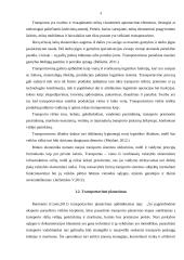 Transportavimo veiklos optimizavimas organizuojant krovinių gabenimą keliais  4 puslapis