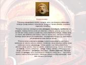 Antika ir Antikos mitologija 14 puslapis