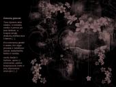 Antika ir Antikos mitologija 19 puslapis