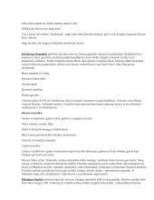 Lietuvių kalbos autorių ir jų kūrinių aprašymai 2 puslapis