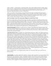 Lietuvių kalbos autorių ir jų kūrinių aprašymai 4 puslapis