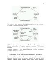 Plati makroekonomikos teorija 2 puslapis