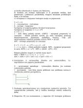 Plati makroekonomikos teorija 13 puslapis