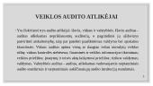 Lietuvos audito įmonių veiklos analizė 3 puslapis