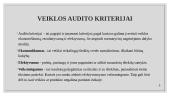 Lietuvos audito įmonių veiklos analizė 5 puslapis