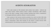 Lietuvos audito įmonių veiklos analizė 8 puslapis
