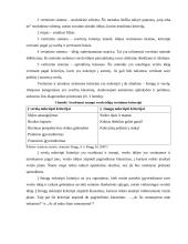 Verslo įmonės kūrimas, efektyvus funkcionavimas ir plėtros veiksniai 13 puslapis