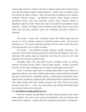 Verslo įmonės kūrimas, efektyvus funkcionavimas ir plėtros veiksniai 6 puslapis