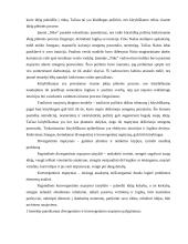 Verslo įmonės kūrimas, efektyvus funkcionavimas ir plėtros veiksniai 7 puslapis