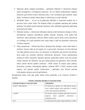 Verslo įmonės kūrimas, efektyvus funkcionavimas ir plėtros veiksniai 9 puslapis