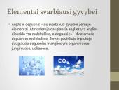 Deguonies ir anglies reikšmė gyvajai gamtai 2 puslapis