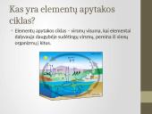 Deguonies ir anglies reikšmė gyvajai gamtai 13 puslapis