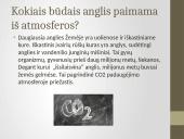 Deguonies ir anglies reikšmė gyvajai gamtai 15 puslapis