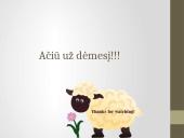 Deguonies ir anglies reikšmė gyvajai gamtai 17 puslapis