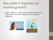 Deguonies ir anglies reikšmė gyvajai gamtai 6 puslapis