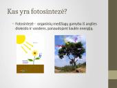 Deguonies ir anglies reikšmė gyvajai gamtai 7 puslapis