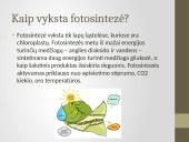 Deguonies ir anglies reikšmė gyvajai gamtai 8 puslapis