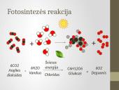 Deguonies ir anglies reikšmė gyvajai gamtai 9 puslapis