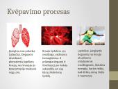 Deguonies ir anglies reikšmė gyvajai gamtai 10 puslapis