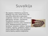 Tautinės juostos 11 puslapis