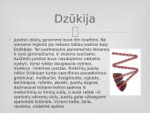 Tautinės juostos 8 puslapis