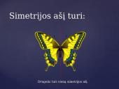 Simetrija aplink mus 2 puslapis